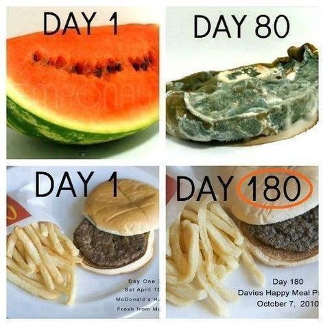 Comparison of what real food looks like after 80 days vs what McDonalds looks like after 180 days. Gross. Different Types Of Food, Eating Fast, Eat Better, Food Facts, Do Not Eat, Happy Meal, Types Of Food, Junk Food, Food For Thought