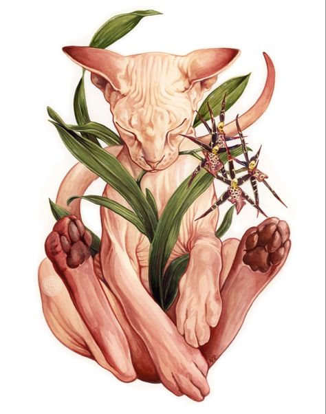 Veronica Steiner | WATERCOLOR | Sohinx and Orchid Sphynx Cat Tattoo, Sphinx Tattoo, Iphone Wallpaper Cat, Spooky Tattoos, Sphynx, Illustration Character Design, Cat Tattoo, Cat Drawing, A Drawing