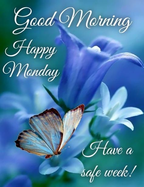 Morning Monday Quotes, Good Morning Monday Quotes, Happy Monday Pictures, Good Morning Gif Images, Good Morning Prayer Quotes, Happy Monday Images, Monday Pictures, Happy Monday Quotes, Happy Monday Morning