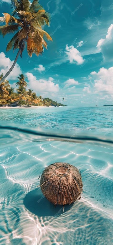 Premium Photo | A coconut floating in the clear blue sea tropical island background sunny day Tropical Beach Aesthetic, Caribbean Pictures, Call Background, Tropic Island, Island Background, Monthly Wallpapers, Sea Background, Coconuts Beach, Island Wallpaper