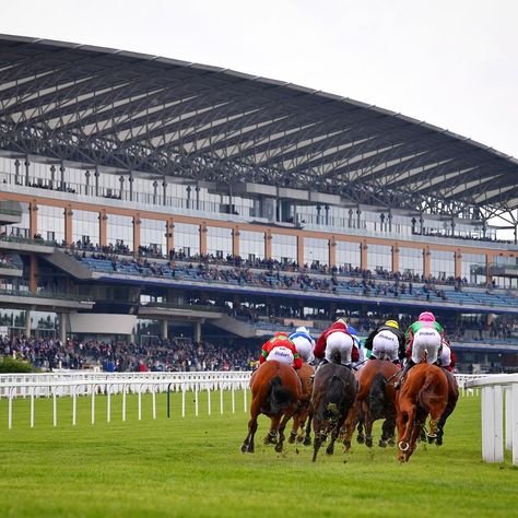 Royal Ascot Aesthetic, Ascot Aesthetic, Horse Racing Aesthetic, Horses Racing, Ascot Horse Racing, Royal Ascot Races, Ascot Races, Horse Trials, Horse Races