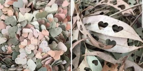 Natural Confetti Ideas, Homemade Confetti, Natural Confetti, Woman Hacks, Leaf Confetti, Flower Girl Petals, Biodegradable Confetti, Diy Confetti, Homemade Wedding