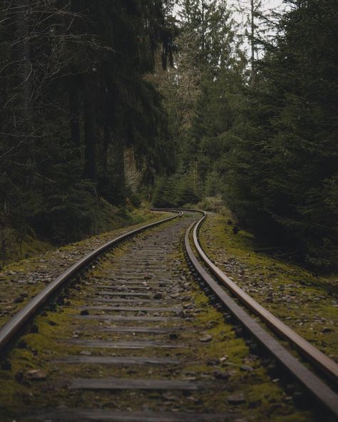 Railroads Aesthetic, Train Tracks Aesthetic, Reference Places, Apocalypse Party, Abandoned Train Station, Pretty Scenery, Apocalypse Aesthetic, Abandoned Train, Railroad Photography