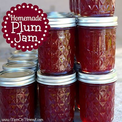 Homemade Plum Jam | MomOnTimeout.com SO much better than store bought jam! Wild Plum Jelly Recipe, Plum Jam Recipe, Plum Jam Recipes, Canning Fruit, Plum Recipes, Jam Recipes Homemade, Canning Jam, Canning Food Preservation, Plum Jam