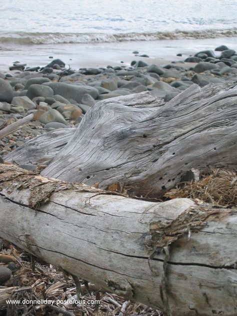 Autumn ~ Sea Seaside Cottages, Wet Sand, Driftwood Beach, Cottage By The Sea, Seaside Cottage, On Beach, Beach Cottage, Summer Breeze, Beach Cottages