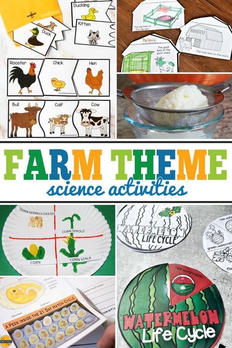 Science For Farm Theme, Preschool Science Farm Theme, Farm Experiments For Preschool, Farm Week Preschool Activities Science, Farm Preschool Activities Science, Farm Themed Science For Preschool, Farm Theme Science Activities, Fall Farm Activities Preschool, Farm Theme Learning Activities