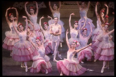 Ballet Academia, New York City Attractions, Holidays In New York, Ballet Aesthetic, New York City Ballet, Tutu Ballet, Philadelphia Eagles Fans, George Balanchine, Ballet Performances