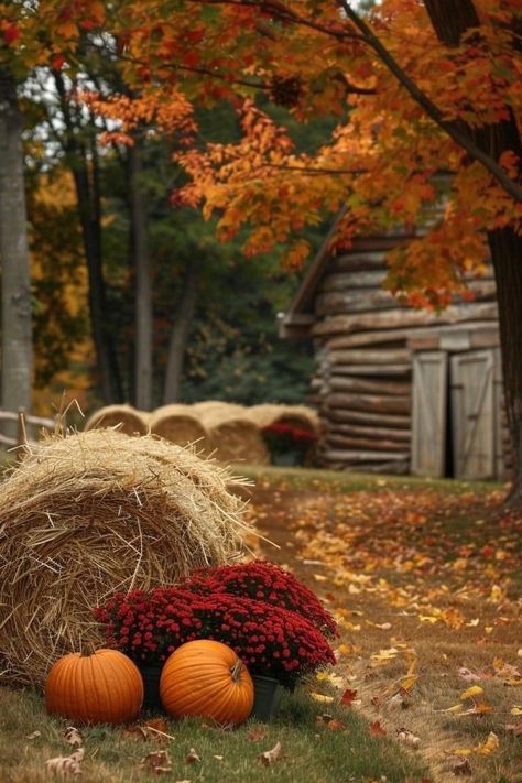 📌 August 25, 2024       @ColleSemplice Autumn Lockscreen, Outdoor Fall Decor, Magical Autumn, Outdoor Scenery, October Art, Autumn Magic, Fall Country, Fall Inspiration, Fall Outdoor Decor