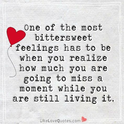 One of the most bittersweet feelings has to be when you realize how much you are going to miss a moment while you are still living it. Bittersweet Quotes, Moments Quotes, Last Moment, Missing Someone, When You Realize, Love Notes, Miss A, Pretty Words, Say You