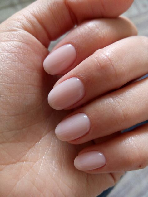 Natural Nails Acrylic Shorts Simple, Short Acrylic Nails Round Natural Pale Pink, Neutral Rounded Nails, Minimal Round Nails, Natural Pink Round Nails, Short Rounded Natural Nails, Natural Rounded Nails, Biab Natural Nails, Short Natural Pink Nails