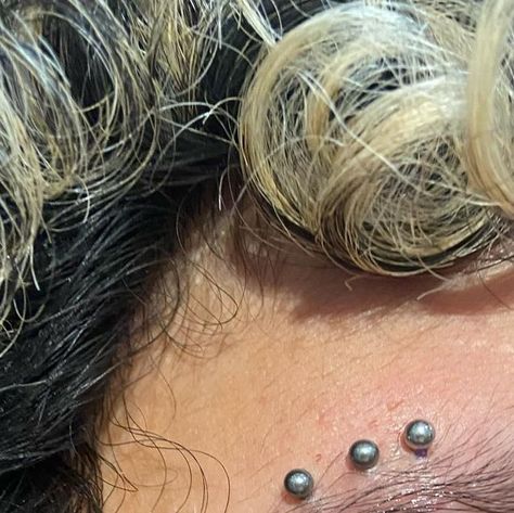 Triple Eyebrow Piercing, Horizontal Eyebrow Piercing, Eyebrow Piercings, Eyebrow Piercing, Tucson, Gratitude, Eyebrows, Piercings