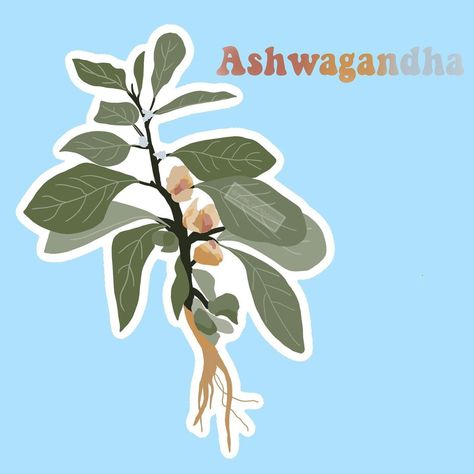 Devanshi🌻 on Instagram: “Plant 8 - ashwagandha for the plant stickers collection ( decided to make it more aesthetic ✨) This is also en entry for #aromayticplants…” Plant Stickers, Stickers Collection, Sticker Collection, The Plant, Make It, Plants, On Instagram, Instagram