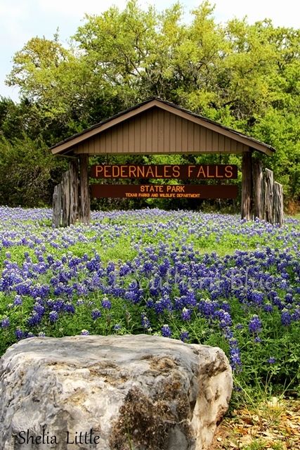 Johnson City Texas, Texas Camping, Destination Places, Pedernales Falls State Park, Travel Views, Johnson City Tennessee, Texas Trip, Texas Land, Texas State Parks