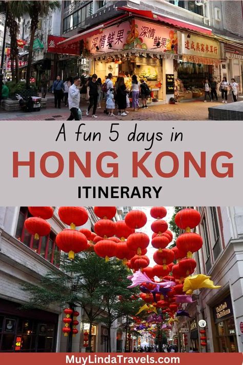 A Fun 5 Day Hong Kong Itinerary - Muy Linda Travels Singapore With Kids, Hong Kong Itinerary, Japan With Kids, China Travel Guide, Greece Travel Guide, Hong Kong Travel, Travel Destinations Asia, Asia Destinations, Global Travel