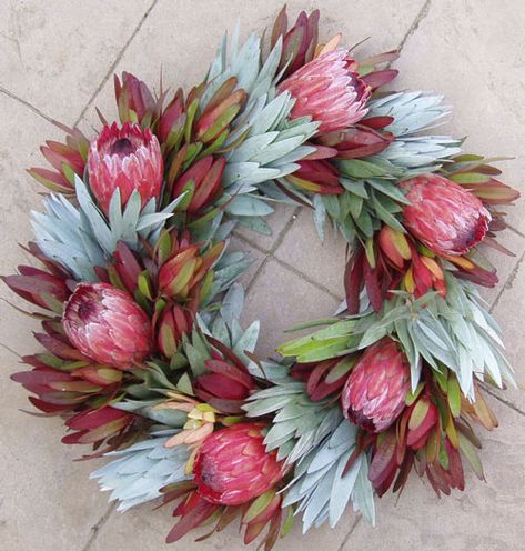 Silver tree and red Leucadendron’s set off the Pink of the protea in this colorful wreath - Different - could be used as a table center piece. Wreath Decorating Ideas, African Christmas, Aussie Christmas, Tafel Decor, Australian Christmas, Deco Nature, Mums Homecoming, Summer Christmas, Tree Wreath