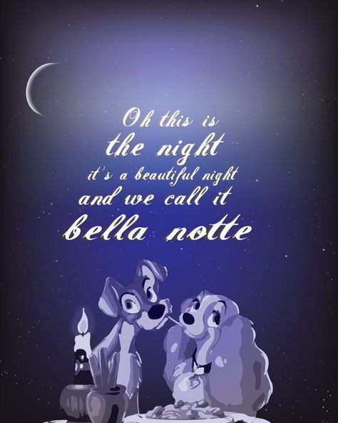 Lady And The Tramp Quotes, Disney Song Lyrics, The Lady And The Tramp, Disney Lyrics, Disney Movie Quotes, Disney Dogs, Disney Songs, Disney Favorites, Beautiful Night