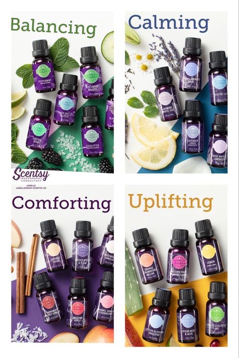 Scentsy Diffusers And Oils 2024, Scentsy Essential Oils 2023, Scentsy Oils 2023, Scentsy Essential Oils, Scentsy Flyers, Scentsy Diffuser, Scentsy Oils, Fragrance Blends, Scentsy Ideas