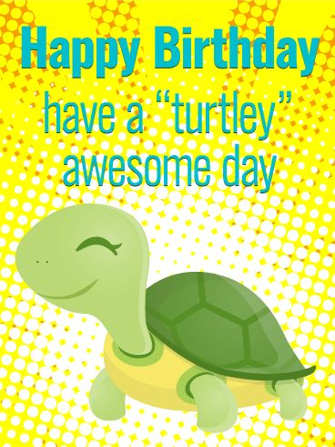 Turtley Awesome Day! Funny Birthday Card: Do you have a friend who loves cute animals and hilarious puns? On their birthday this year, use the adorable turtle on this Happy Birthday card to wish them a "turtley" awesome day! Make the most of your friend's special day by celebrating their life and everything you love about them. Don't be shell-fish, send this funny birthday card to celebrate's your loved one's birthday today! Short Funny Birthday Wishes, Turtle Wisdom, Happy Birthday Turtle, Hbd Wishes, Turtle Quotes, Hilarious Puns, Birthday Verses, Funny Happy Birthday Wishes, Birthday Memes