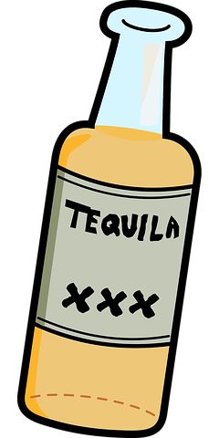 Alcohol Gráficos vectoriales - Descarga imágenes gratis - Pixabay Alcohol Pictures, Silhouette Family, Inktober Ideas, Fire Vector, Las Tic, New Tattoo Ideas, Tequila Bottles, Cricut Images, Drink Me