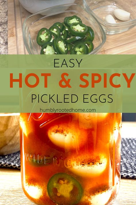 mason jar with pickled quail eggs in spicy brine How To Pickle Eggs, Pickle Eggs, Best Pickled Eggs, Spicy Pickled Eggs, Picked Eggs, Pickled Quail Eggs, Pickled Eggs Recipe, Quail Recipes, Easy Pickling Recipes