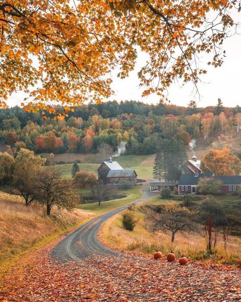 Uni Notion, Fall Widgets, Autumn Core, New England Fall, Autumn Scenery, Season Of The Witch, Fall Scents, Fall Aesthetic, Autumn Cozy