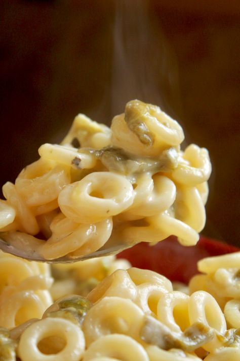 Four Cheese Mac and Cheese with Hatch Chiles Four Cheese Mac And Cheese, Chile Mac And Cheese, Chile Mac, Mac N Cheese Soup, Hatch Green Chili Recipe, White Mac And Cheese, Bacon Grilled Cheese Sandwich, Cheese Mac And Cheese, Green Chile Recipes