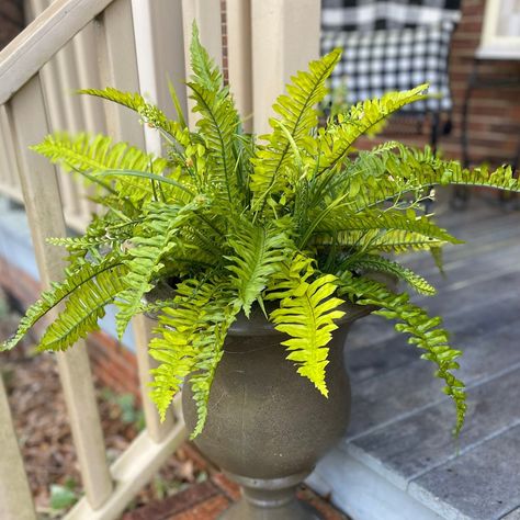 Plants For Porch, Planter Filler, Fern Planters, Outdoor Greenery, Outdoor Urns, Fall Floral Arrangement, Front Porch Planters, Spring Planter, Porch Plants