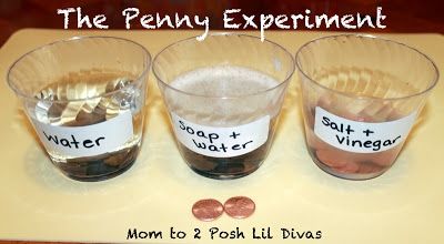 The Penny Experiment - a science exploration Penny Experiment, How To Clean Pennies, Kid Experiments, Easy Science Experiments, Fair Projects, Science Themes, Kindergarten Science, Easy Science, Science Fair Projects