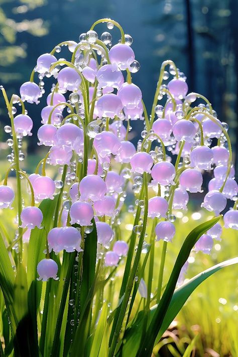 Lily Of The Valley Purple, Purple Lily Of The Valley, Purple Bell Flowers, Ornamental Garden, Pretty Flowers Pictures, Purple Lily, Lily Of The Valley Flowers, Valley Flowers, Lovely Flowers Wallpaper