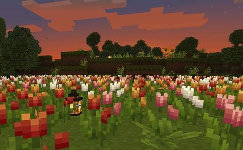 Minecraft // sunset // garden// tulips // Minecraft builds // texture pack // aesthetic // Laptop Wallpaper Minecraft, Minecraft Tulip Field, Flower Field Minecraft, Minecraft Flower Field, Minecraft Flower Garden, Minecraft Flowers, Minecraft Background, Garden Minecraft, Car Graffiti