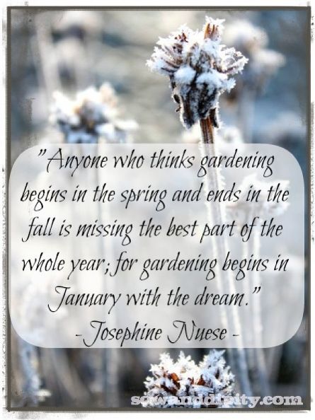 january dreaming, gardening, More about planning your garden here Tattoo Plant, Garden Quotes, Landscape Designs, Olive Garden, Flower Quotes, Garden Signs, Shade Garden, Spring Garden, Winter Garden