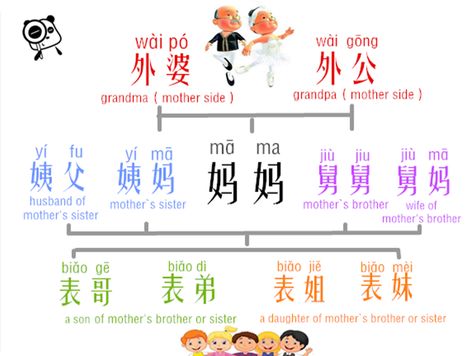 Mandarin Phrases, Mandarin Pinyin, Chinese Learn, Chinese Flashcards, Mandarin Chinese Languages, Learning Mandarin, Chinese Family, Chinese Alphabet, Learn Chinese Characters