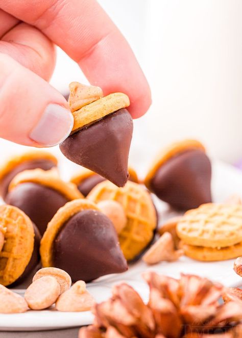 Acorn Cookies are almost too cute to eat and with just three ingredients, they come together so quickly! These adorable cookies are a fun and festive addition to holiday cookie trays and dessert tables! Bonus: These easy acorn treats can easily be customized simply by swapping in different flavored kisses, chocolate chips and cookies! // Mom On Timeout