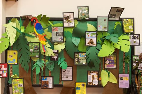 Rainforest Museum – Dhahran British Grammar School Jungle Photobooth, Layers Of The Rainforest, Rainforest Classroom, Facts About Plants, Rainforest Project, Biomes Project, Rainforest Biome, Jungle Theme Classroom, Rainforest Habitat