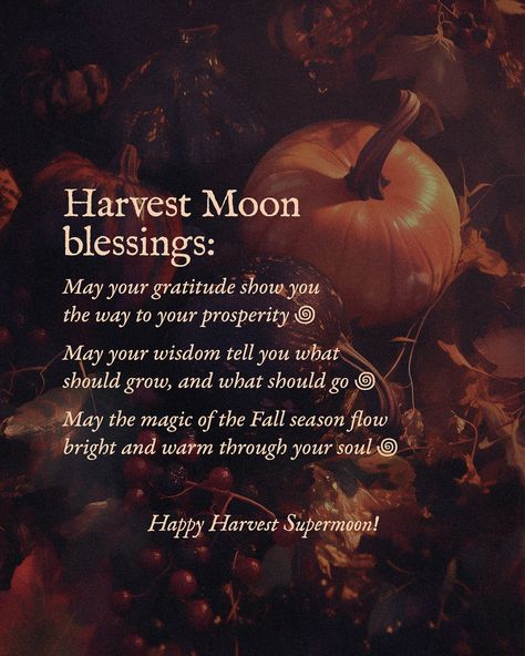 Save the date: September 17-18 (depending on your time zone) 🤎 This is the second supermoon this year, and in Moon magic it means — stronger influence, more energy, deeper feelings… Also, there is a Lunar Eclipse happening during this Full Moon, but it is partial and not very strong. However, this might add a peculiar feel to the whole event: more unexpected thoughts and new emotions and ideas… The Harvest Moon is that special time when brightness and intensity get gradually replaced with so... Harvest Moon Art, Witchcraft Inspiration, Goblin Core, Lunar Eclipse, Super Moon, Time Zone, September 17, More Energy, Blood Moon