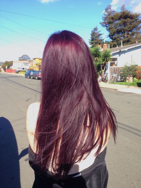 so hard to keep up with but so worth it! Hair Inspo Color Cool Tone, Purple Maroon Hair, Colors To Dye Hair, Dyed Asian Hair, Cherry Purple Hair, Purple Tinted Hair, Red Violet Hair Color, Dark Purple Hair, Purple Ombre Hair