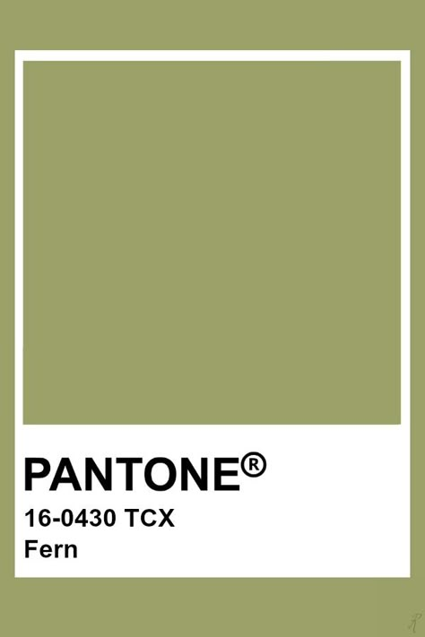 Pantone Fern Fern Color Palette, Fern Green Color Palette, Olive Pantone, Pantone Green Shades, Verde Pantone, Pantone Shades, Pantone Verde, Pantone Swatch, Pantone Tcx