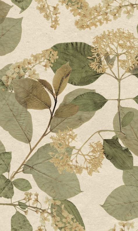 Cream Green Tropical Leaves Wallpaper R9129 Terracotta Wallpaper, Tropical Leaves Wallpaper, Small Bathroom Wallpaper, Brown Artwork, Transitional Wallpaper, Watercolor Rug, Palm Leaf Wallpaper, Banana Leaf Wallpaper, Apricot Orange