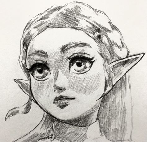 A traditional drawing of Zelda How To Draw Link From Zelda, Link Zelda Drawing, Zelda Sketch, Zelda Drawing, Legend Of Zelda Characters, Perspective Drawing Architecture, Zelda Botw, Drawing Now, Link Zelda