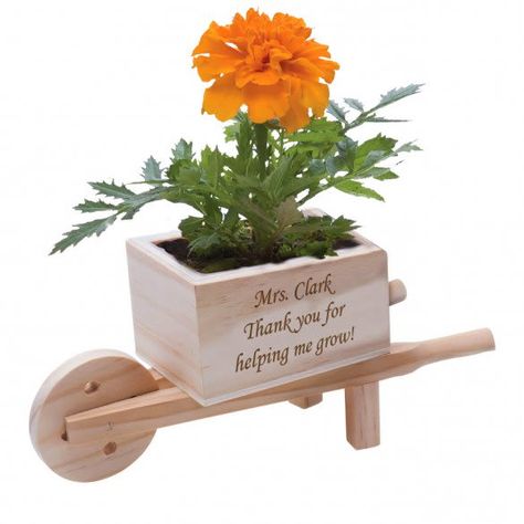 Marigold Seeds, Wooden Wheelbarrow, Wheelbarrow Planter, Unique Baby Shower Favors, Mothers Day Gift Ideas, Wooden Wheel, Wood Plant Stand, Unique Mothers Day Gifts, Wooden Planters