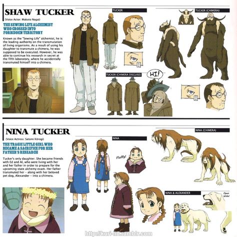 Fma 2003, Fullmetal Alchemist 2003, Characters Sheet, Art Styles Anime, Fullmetal Alchemist Edward, Character Reference Sheet, Character Profiles, Edward Elric, Full Metal Alchemist