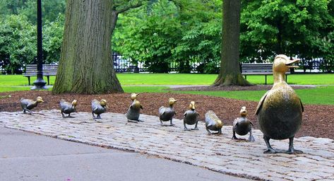 Moving To Maine, Make Way For Ducklings, Barbara Bush, Boston Public Garden, Downtown Boston, Boston Travel, Boston Common, Institute Of Contemporary Art, Boston Public Library