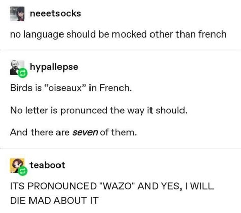 Bilingual Humor, Funniest Tumblr Posts, Language Jokes, Hilarious Tumblr Posts, Flat Tummy Tea, Tummy Tea, Power Moves, Funny Tumblr Posts, Funny Tumblr