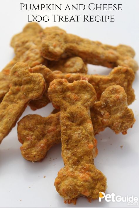 Cheese Dog Treats Homemade, Diy Dog Treats Easy, Cheese Dog Treats, Puppy Cookies, Dog Treats Homemade Pumpkin, Beginner Baking Recipes, Bacon Dog Treats, Pet Recipes, Dog Cake Recipes