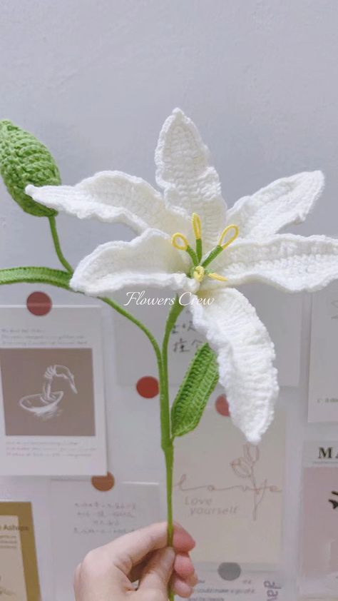 crochet lily flower Table Crochet, White Lily Flower, Crochet Summer Hats, Flowers Easy, Crochet Flowers Easy, Easy Patterns, Crochet White, Crochet Flowers Free Pattern, Flower Bouquet Diy