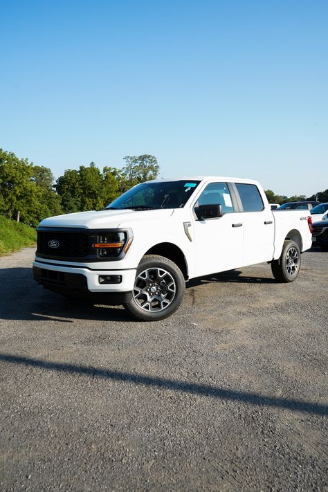 Tough, powerful, and stylish the 2024 Ford F-150 STX takes on every road with confidence! 😎 💪 (Stock#FE45455)  #HealeyBrothers #HudsonValley #EssexCountyNJ #FairfieldCT #ford #fordf150 #f150 Poughkeepsie New York, Chevrolet Dealership, New Hampton, Hudson Valley Ny, Chrysler Dodge Jeep, Car Auctions, Ford F 150, Hudson Valley, Ford Trucks