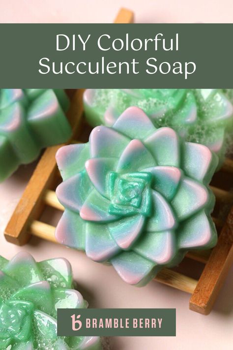 Create colorful succulent soaps made with hydrating Aloe Vera Soap Base! They're scented with Greenhouse Fragrance Oil - a sophisticated blend of basil, thyme, amber, and violet. The colors are created by layering various hues of melt and pour soap into the Succulent Silicone Mold. Succulent Soap, Aloe Vera Soap, Melt And Pour Soap, Colorful Succulents, Melt And Pour, Gift Business, Soap Base, Silicone Mold, Soap Making