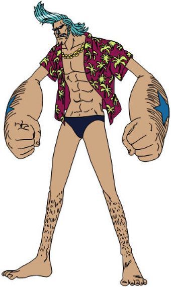 Franky One Piece, The Straw Hat Pirates, Source Family, Straw Hat Pirates, Grand Cross, Bigger Arms, He Left, One Piece Images, Star Tattoos