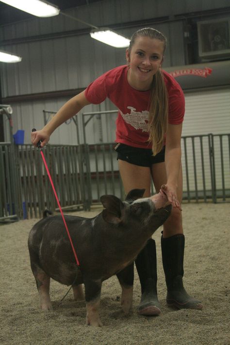 FFA, Show Pig, Spotted Show pig, Spotted gilt, FFA photography Pig Show Outfits, Ffa Pictures, Showing Pigs, Pig Names, Farm Senior Pictures, Show Pigs, Livestock Showing, Country Pics, Pig Pics