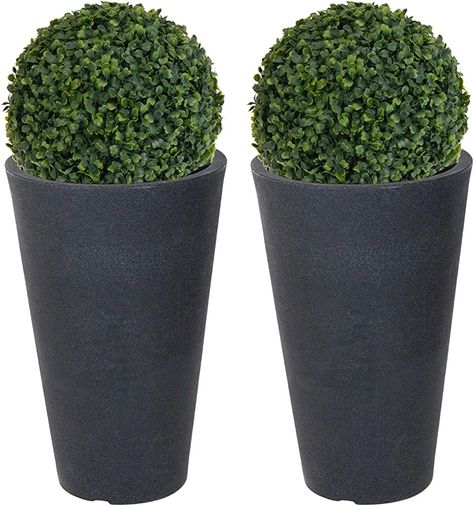 https://www.amazon.co.uk/URBN-Living-Round-Charcoal-Artificial/dp/B0759STSRD/ref=mp_s_a_1_1?crid=VP44LPP6PICW&keywords=urbnliving+2x+round+charcoal+grey+plant+pot+with+artificial+grass&qid=1686602589&sprefix=urbnliving+2x+%2Caps%2C152&sr=8-1 Fig Tree Plant, Pot Arrangements, Wisteria Plant, Dracaena Plant, Boxwood Topiary, Artificial Boxwood, Aloe Plant, Palm Plant, Topiary Trees